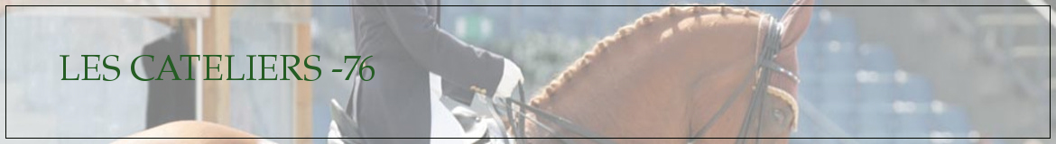LES CATELIERS -76